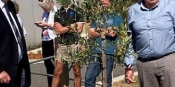 Planting of the olive tree, Clive Rayner and Jack Daffy